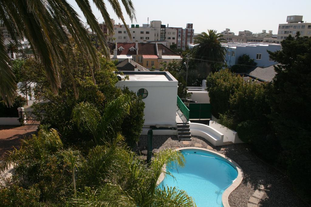 Africanhome Guesthouse Kapsztad Zewnętrze zdjęcie